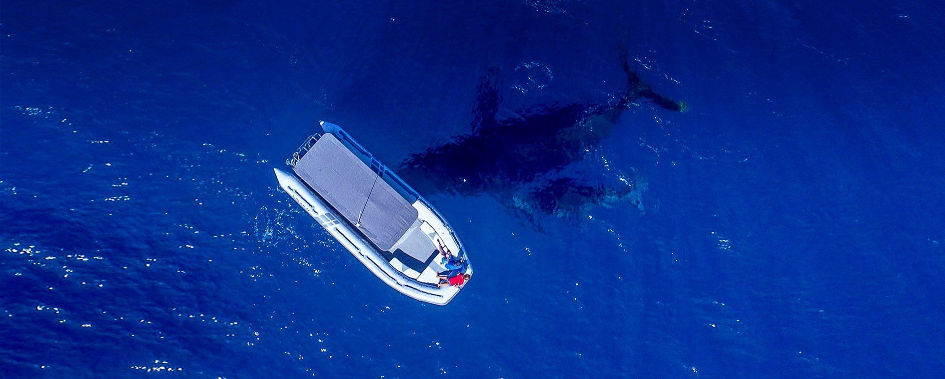 White boat on deep blue water near a large dark shadow below