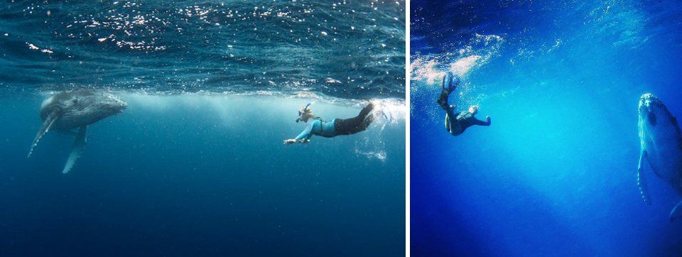 carmen whale swim