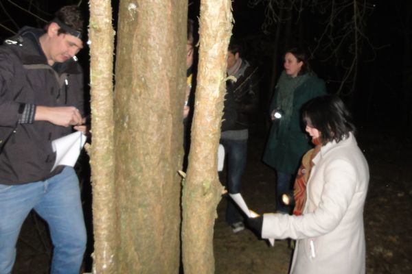 Mensen die met zaklampen bomen bekijken in een donkere buitenomgeving.
