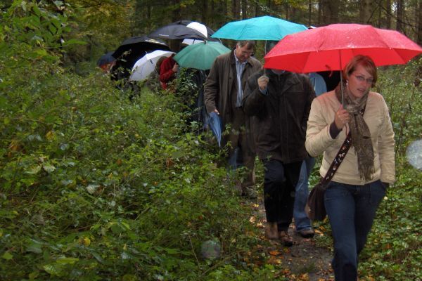 Mensen met paraplu's lopen in de regen over een bospad.