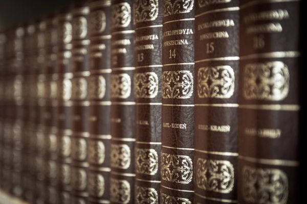 Een rij donkerbruine boeken met goudopdruk op een plank; de ruggen zijn zichtbaar met de deelnummers.