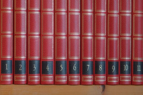 Elf rode hardcover boeken, genummerd van 1 tot en met 11, op een plank.