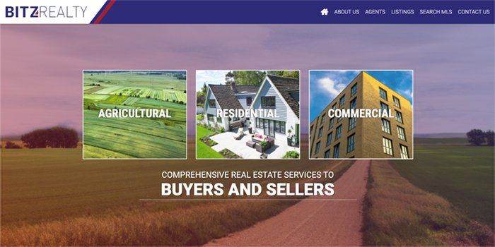 Bitz Realty