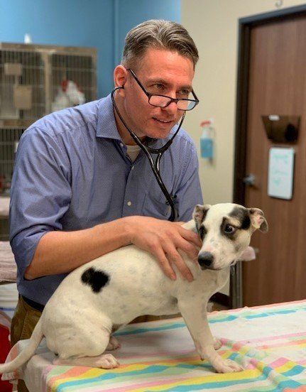 Dr. Michael Rice DVM — Tucson, AZ — Animal Birth Control of Tucson Inc.