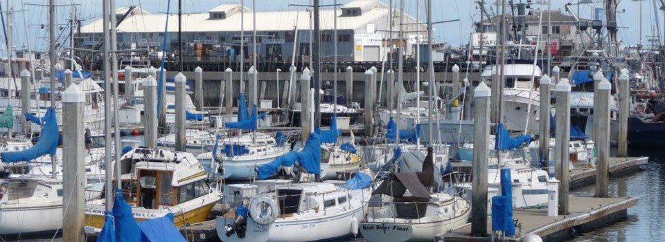boats