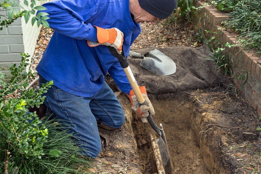 CDS Ltd is digging a hole in the ground with a shovel.