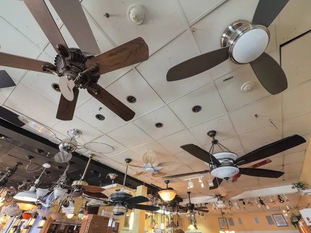 Lighting Showroom 9