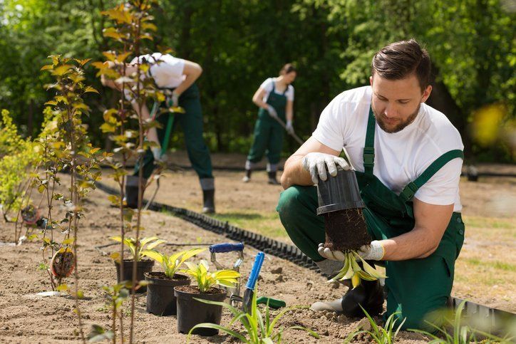 Bemus Point, NY Property Management - R&R Landscaping