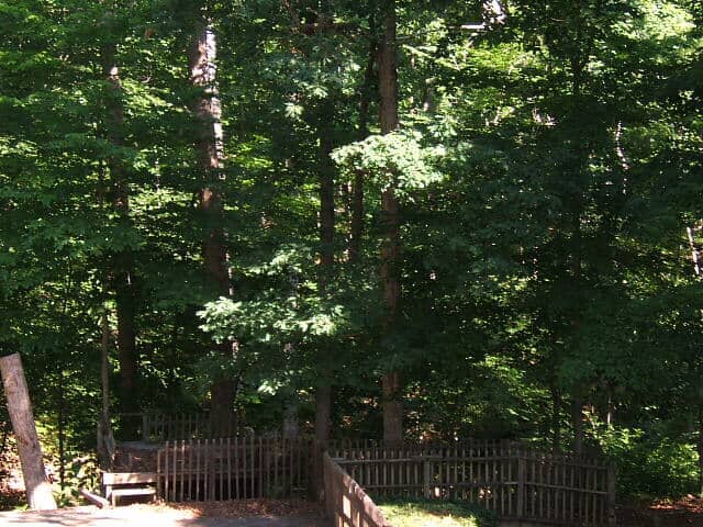Decks And Patios Renovation #51 — Chester, VA — ARW Contracting, Inc.
