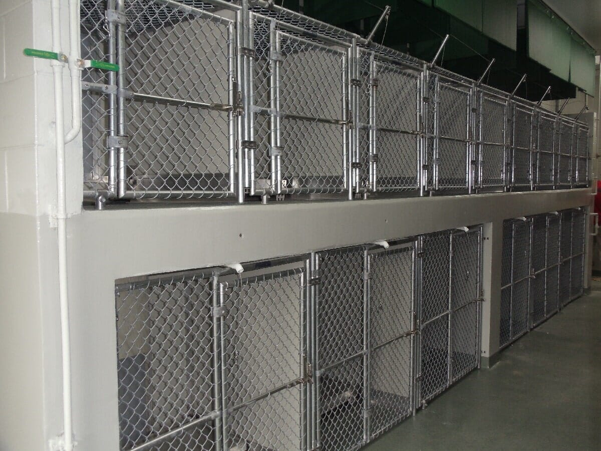 After Animal Shelter Renovation #4 — Chester, VA — ARW Contracting, Inc.