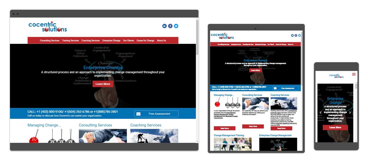 Web Design, Development & Marketing For Consulting Firms - CoCentric Solutions