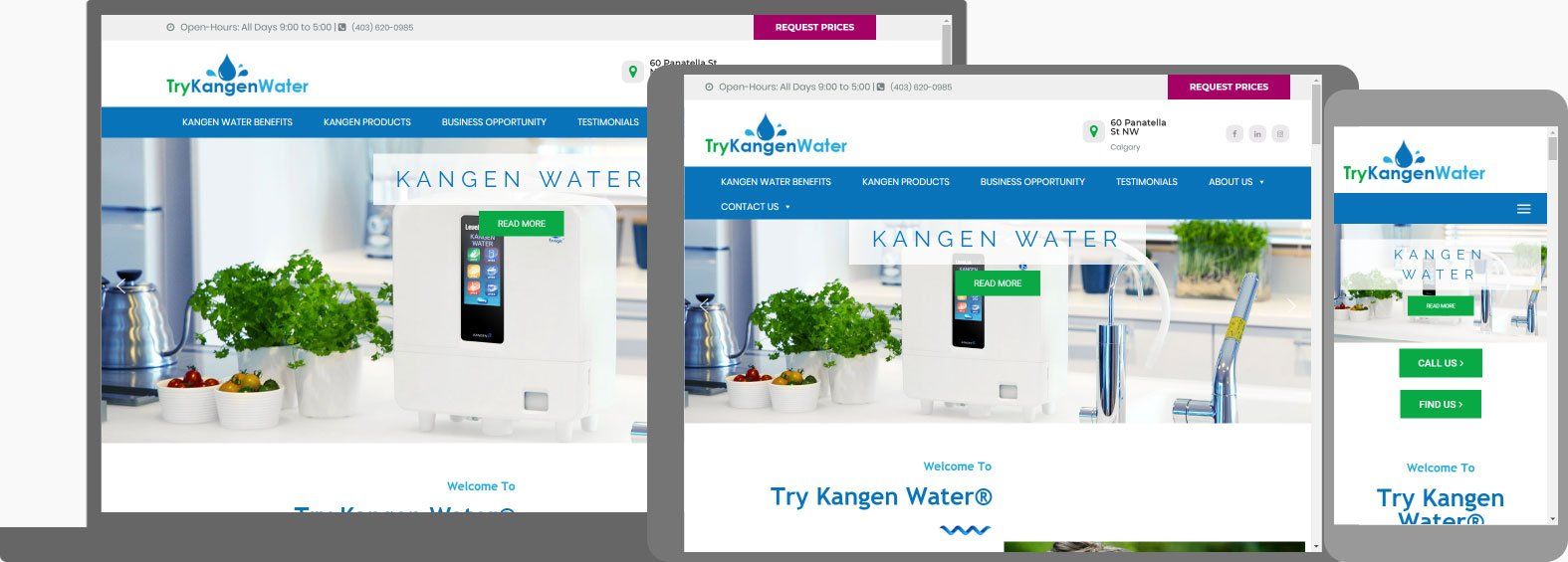 Website Design -  Try Kangen Water