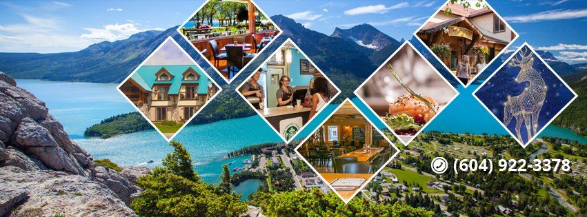 Ace SEO Consulting Portfolio Facebook Cover Designs