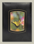 funeral stationery package with cards