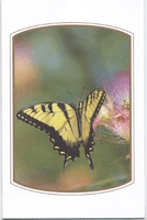 funeral stationery thank you cards