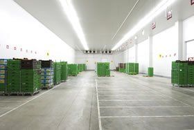 CONCRETE SEALING: Food safe concrete sealer for a food storage and production facility.