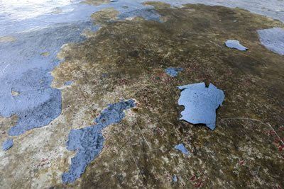 Concrete colour sealing systems by Jetclean® are better than concrete paint.