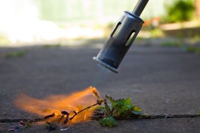 Professional weed removal using a heat gun can improve paver cleaning results.  Optional service. 