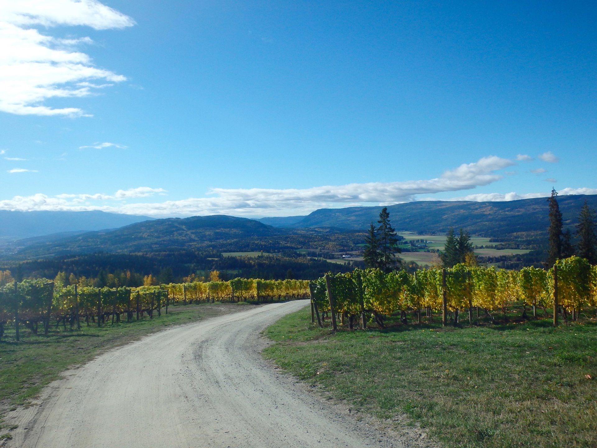 Winery valley