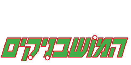 המושבניקים | הקמת חנויות | מתקני תצוגה לחנויות