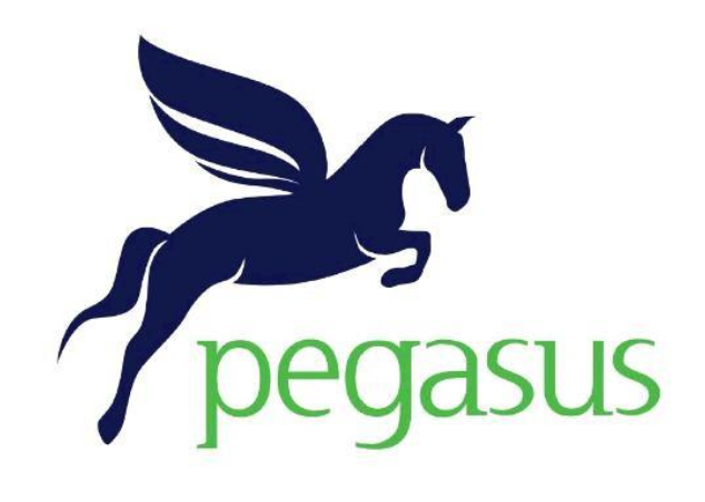 Dark blue Pegasus logo above green lowercase “pegasus” text