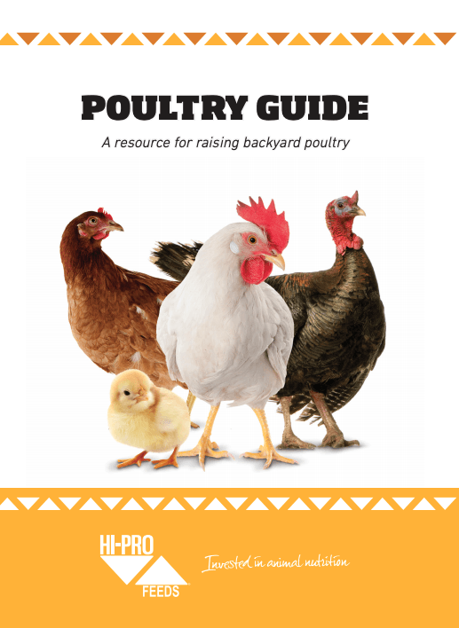 Poultry guide cover showing four chickens and a chick on a white background with orange border accents