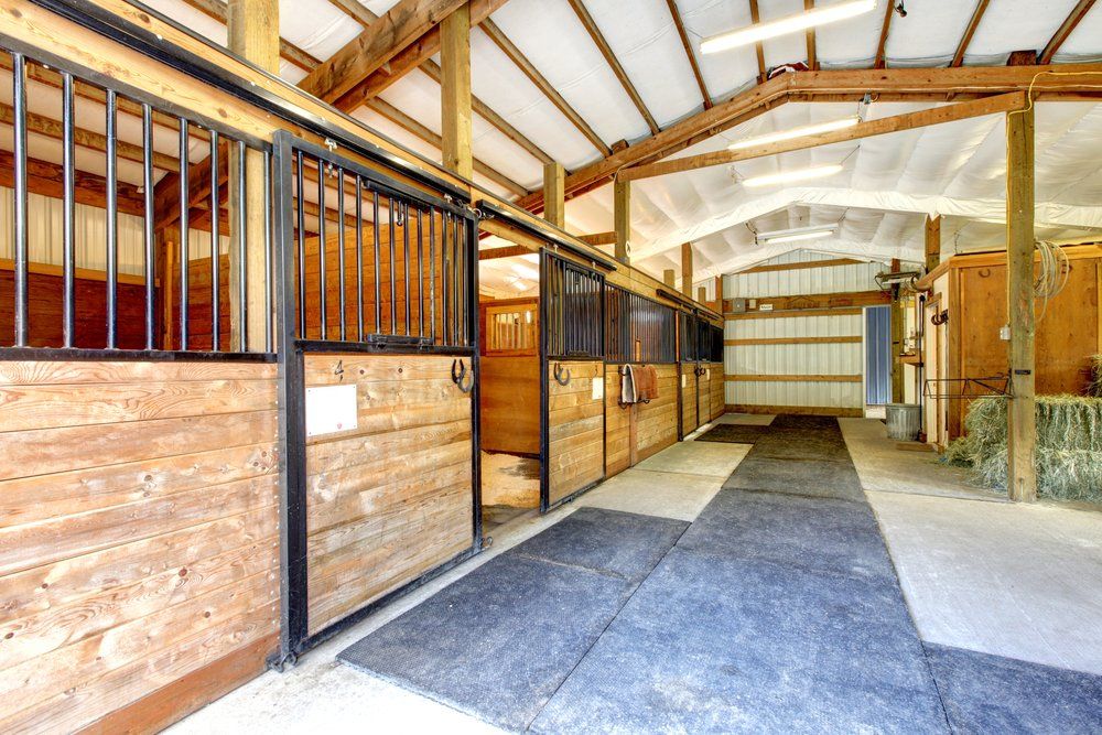 Empty horse stable aisle with wooden stalls, exposed beams, and a concrete floor.
