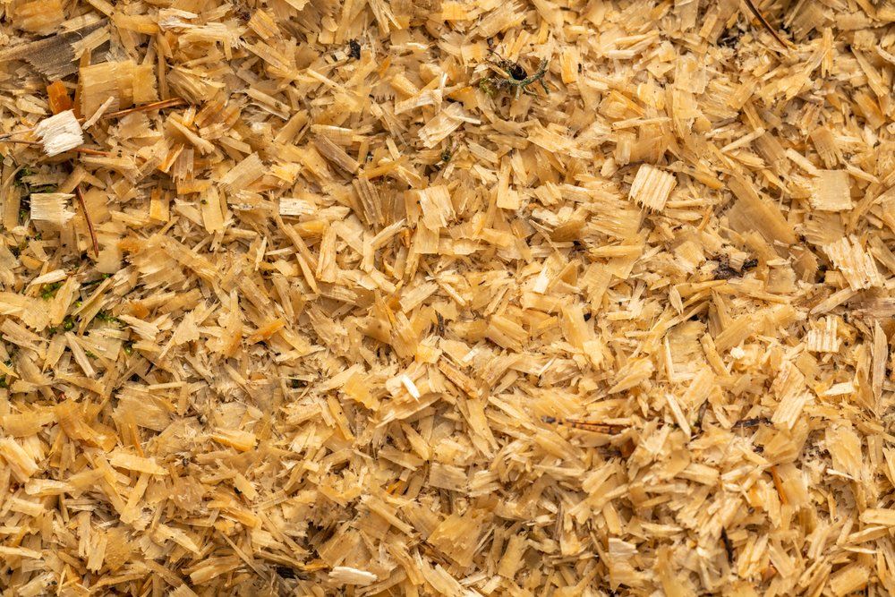 Pile of tan wood shavings and chips filling the frame