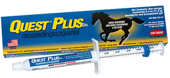 Quest Plus dewormer syringe and box with blue-and-yellow packaging and horse silhouette.