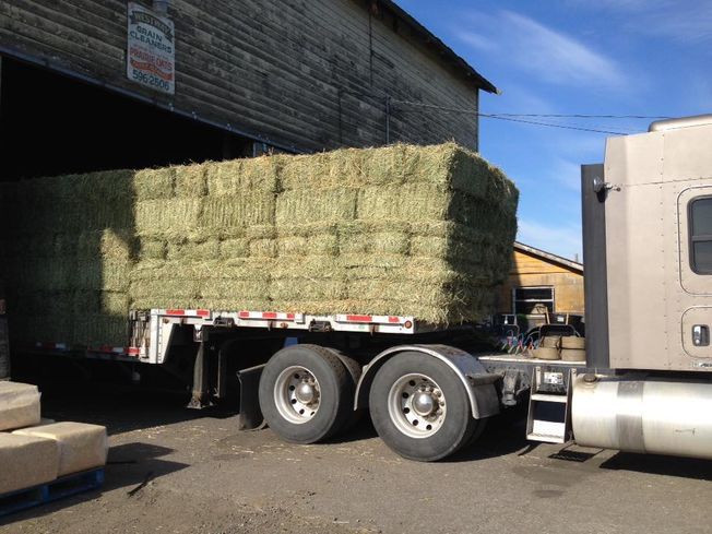 Flatbed truck loaded with stacked hay bales in an industrial yard