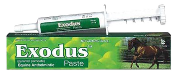 Exodus equine anthelmintic paste box and syringe, green packaging with a horse image