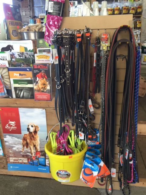 Pet store display of dog collars, leashes, and pet supplies on shelves and hanging racks