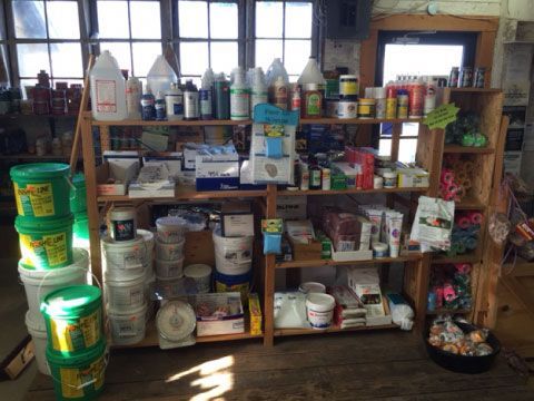 Shelves of assorted jars, cans, and household supplies in a small storage room by windows.