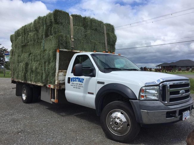 White flatbed truck carrying stacked hay bales in a parking lot under cloudy sky