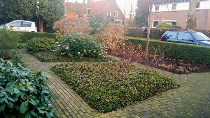Een bakstenen pad loopt door een keurig onderhouden voortuin met diverse struiken, hagen en geparkeerde auto's.