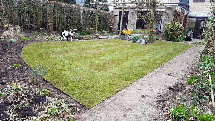 Vers aangelegd groen gras in een achtertuin, naast een bloembed en een pad.