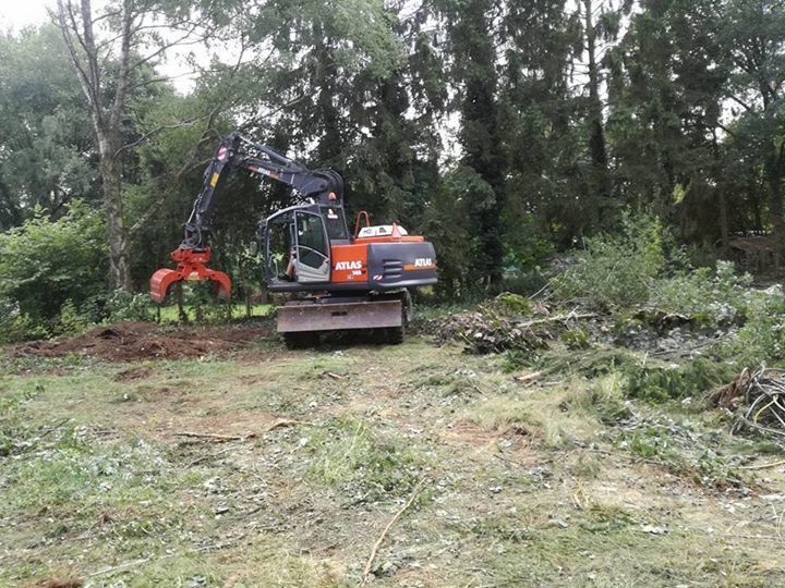Oranje en zwarte graafmachine met grijper die begroeiing verwijdert in een bosrijk gebied.