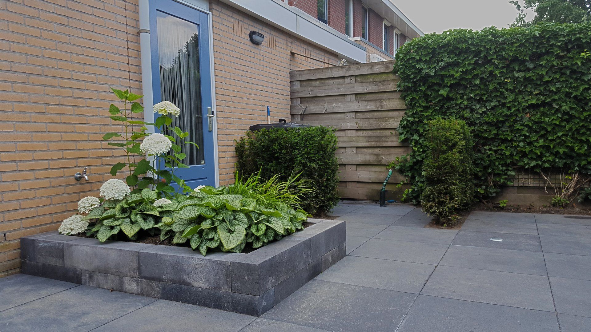 Een kleine achtertuin met een betonnen plantenbak, een blauwe deur en een houten schutting.