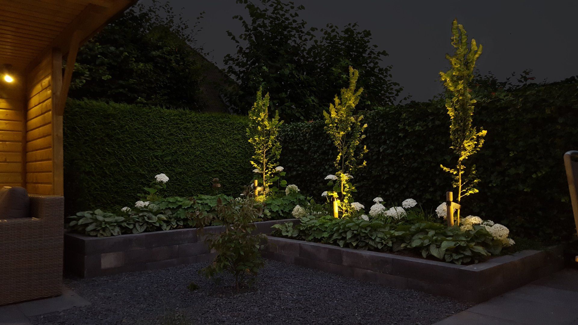 Een 's nachts verlicht bloembed met witte bloemen en hoge bomen tegen een donkere haag.