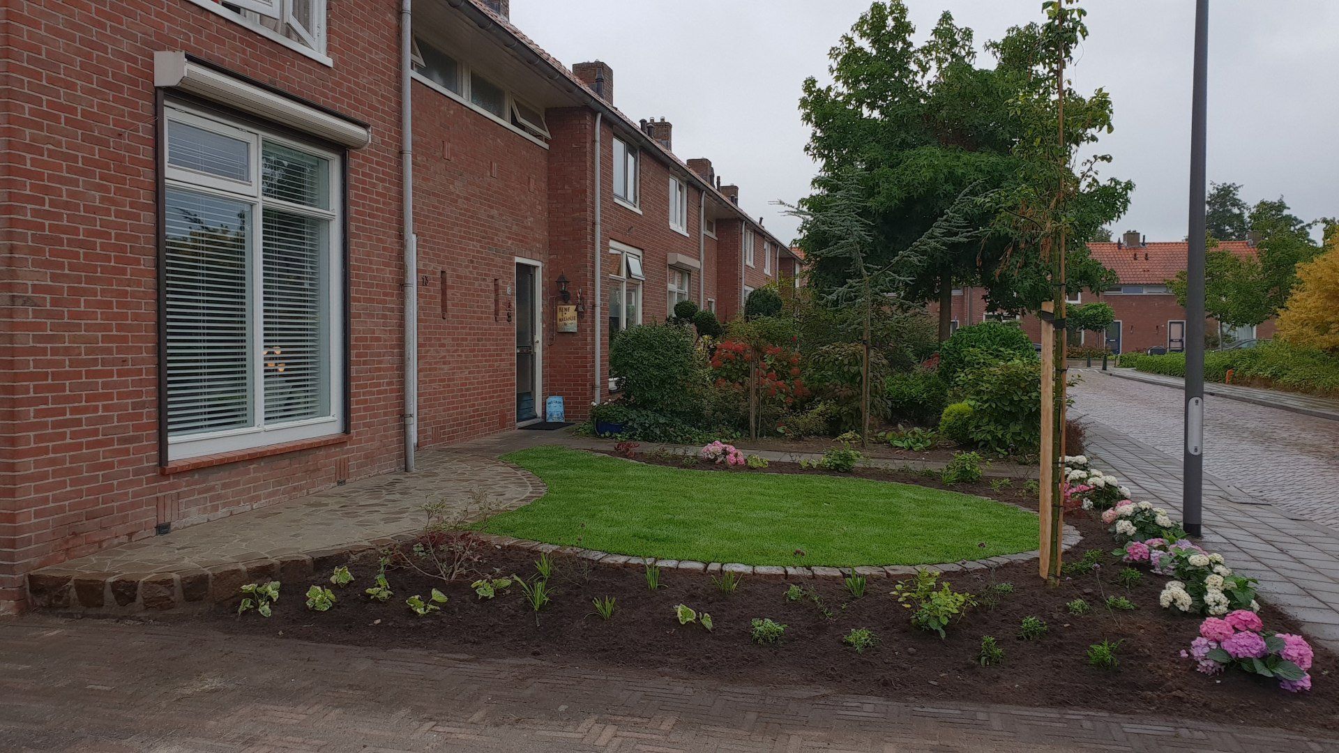 Bakstenen rijtjeshuizen met een klein tuinperk gevuld met gras, bloemen en een kleine boom.