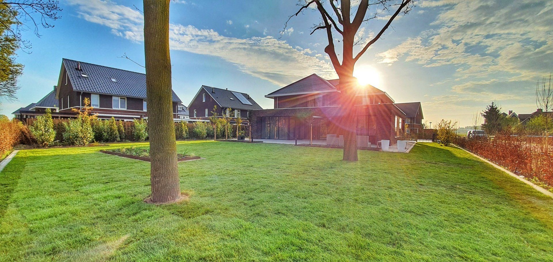 Een weelderig groen gazon met bomen, huizen op de achtergrond en een stralende zon aan de hemel.