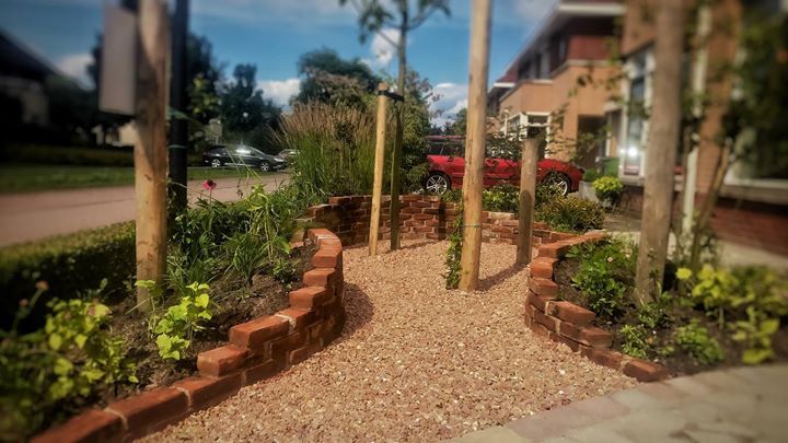 Een grindpad door een tuin, omzoomd door bakstenen. Jonge bomen staan ​​tussen het pad in.