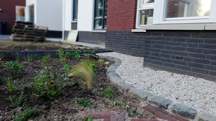 Een bloembed met planten en een stenen rand naast een bakstenen gebouw met witte grind.