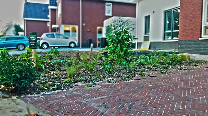 Een bakstenen oprit leidt naar een kleine, nieuwe tuin met opkomende planten, gelegen in een woonwijk.