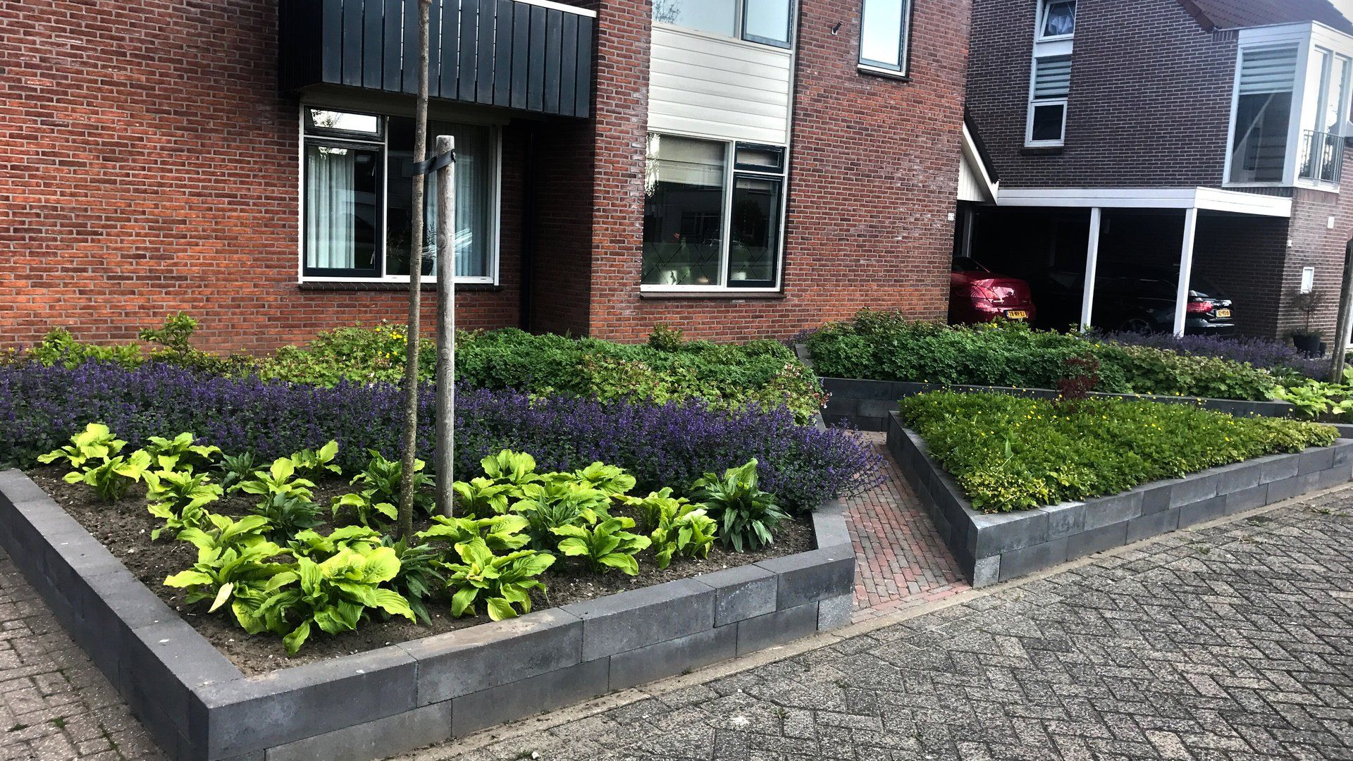 Bloemperken met een bakstenen gebouw op de achtergrond; groene en paarse planten, grijze stenen rand.