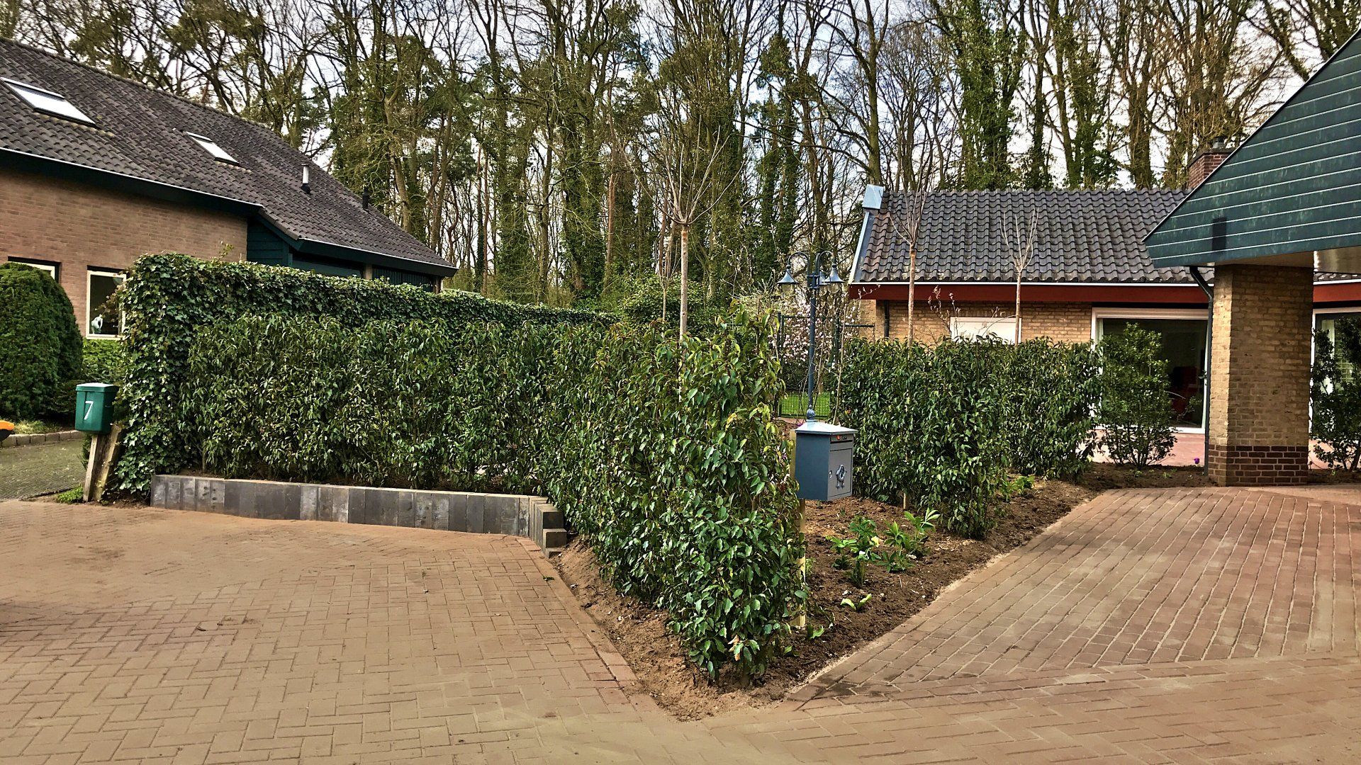 Een oprit die naar huizen leidt, met hagen ertussen, tegen een achtergrond van bomen.