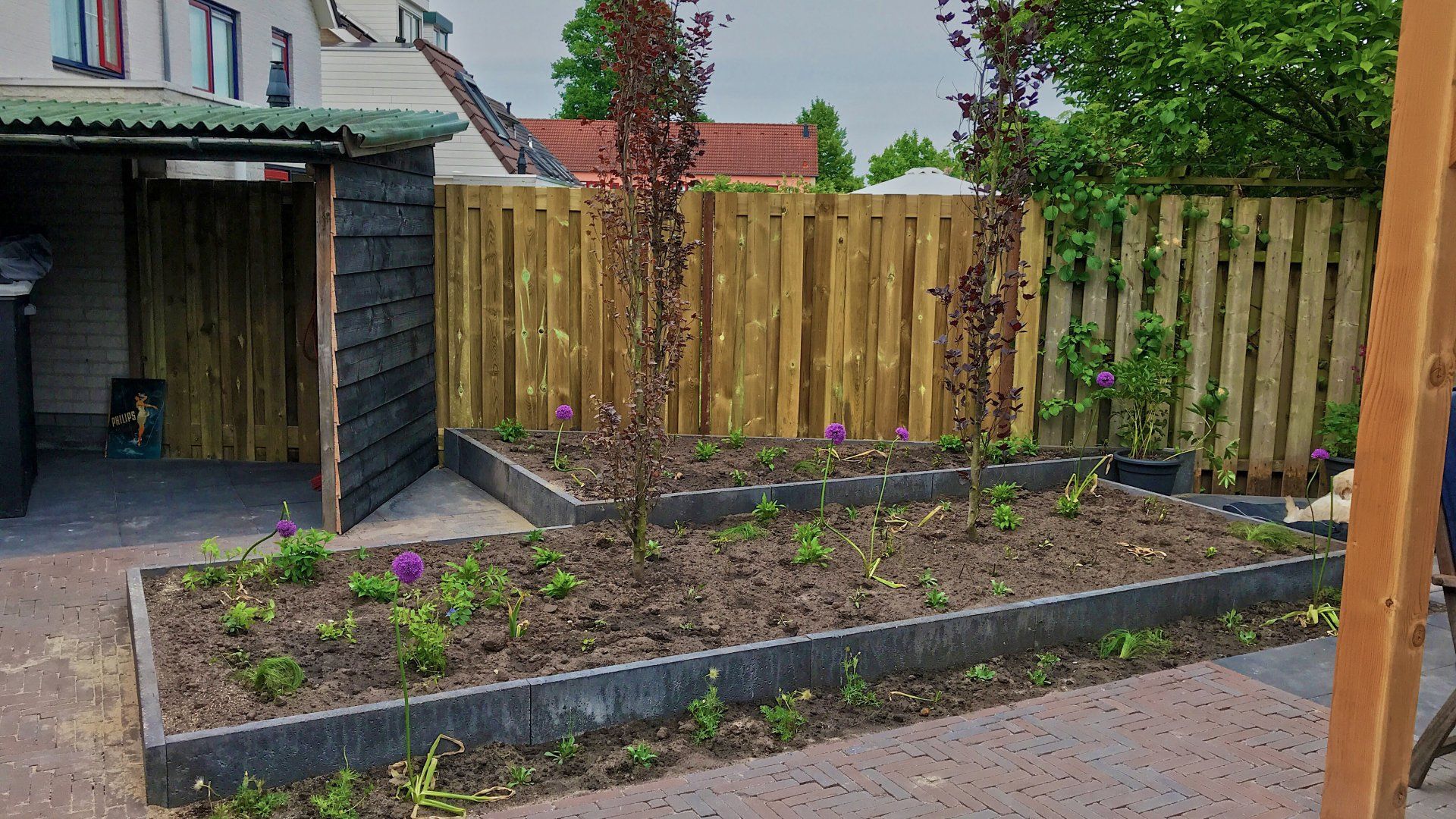 Bloembedden met jonge bomen, omgeven door hekken en een schuur, op een stenen terras.