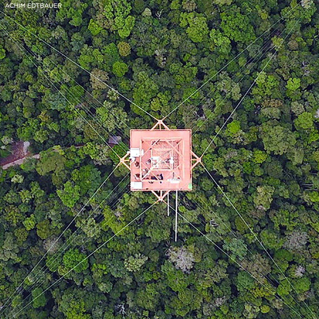 An aerial view of a tower in the middle of a forest.
