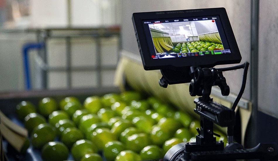 A camera is taking a picture of limes on a conveyor belt.