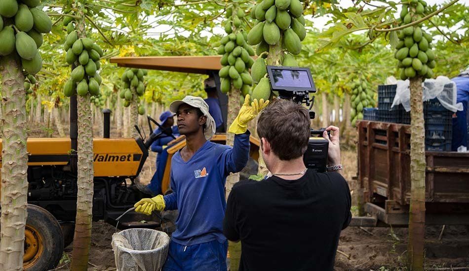 A man is taking a picture of a man in a papaya plantation.